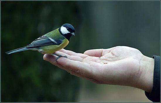 永劫无间携手拳皇 不知火舞精彩登场